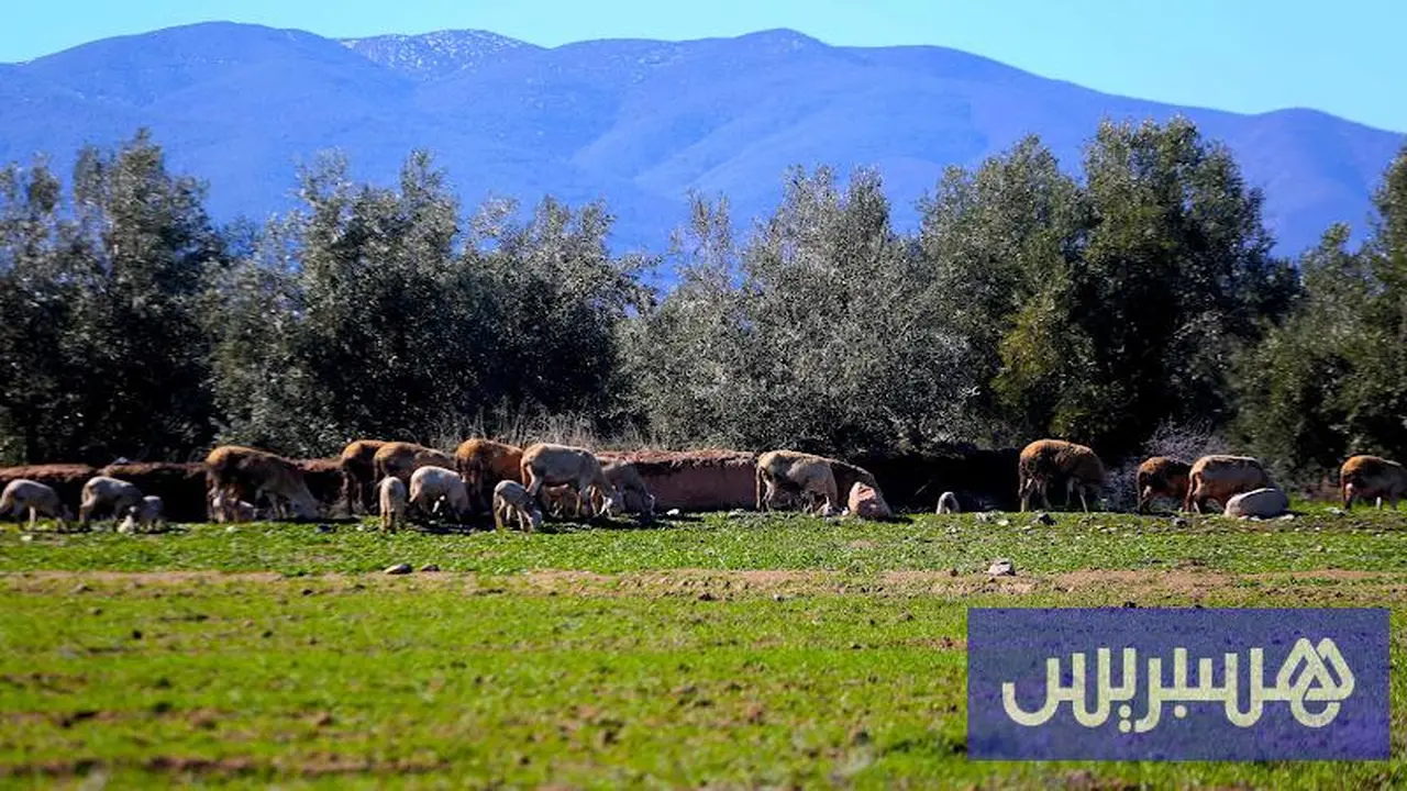 تقلبات جوية قوية تودع المغرب تمهيداً لاستقرار حالة الطقس خلال الأيام المقبلة